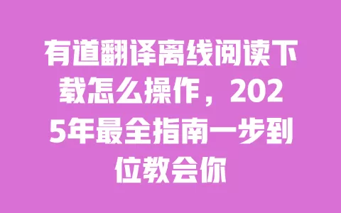 有道翻译离线阅读下载怎么操作,2025年最全指南一步到位教会你 一