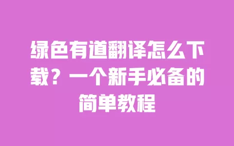 绿色有道翻译怎么下载?一个新手必备的简单教程 一